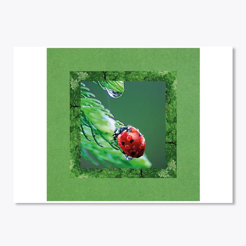 Droplet and ladybug grow plants