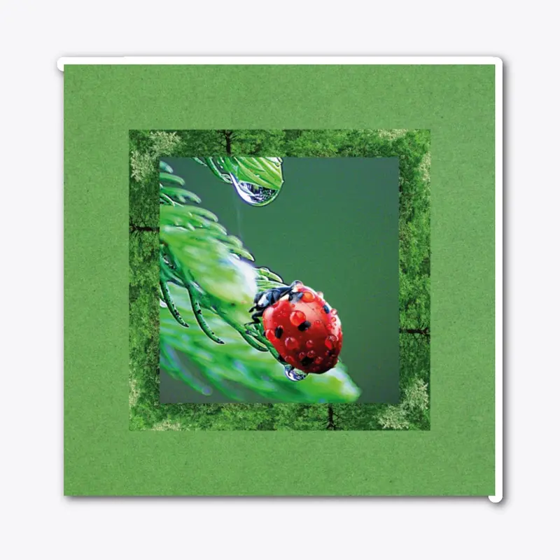 Droplet and ladybug grow plants